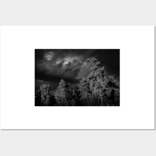 Dramatic clouds in the sky over the dark Swedish forest Posters and Art